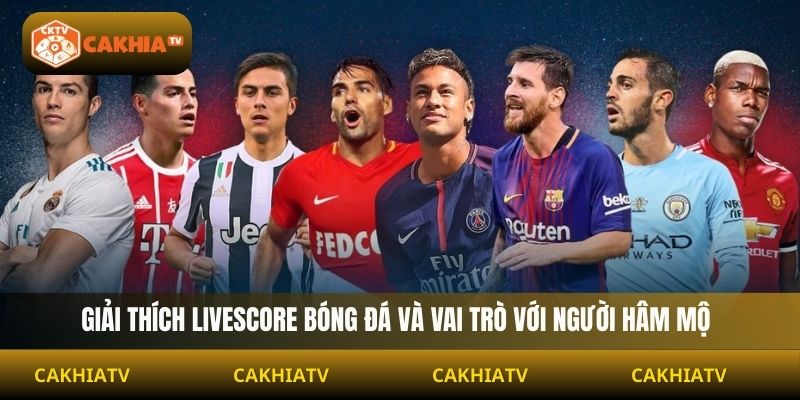 Giải thích livescore bóng đá và vai trò với người hâm mộ