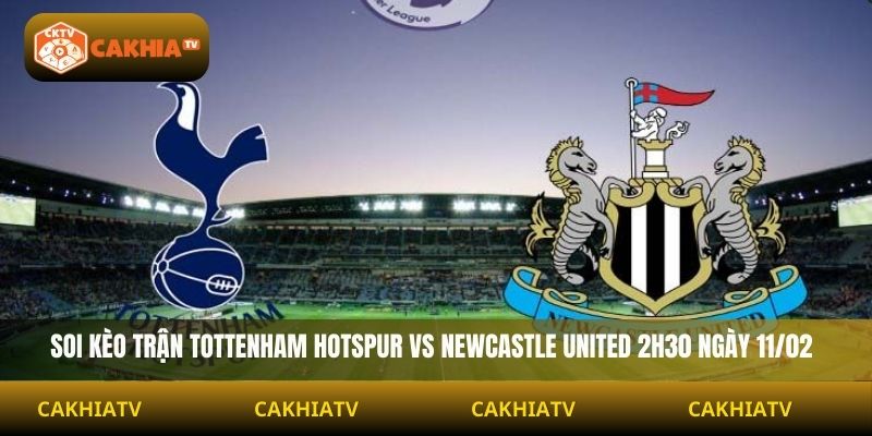 Soi Kèo Tottenham Hotspur Vs Newcastle United 2h30 Ngày 11/02